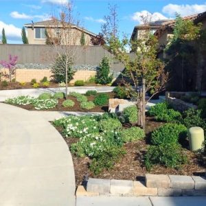 Liberty Landscape Solutions11